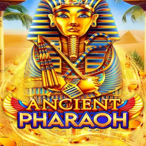 Discover the Thrilling World of AncientPharaoh: A New Season Unveiled