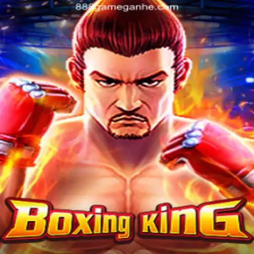 BoxingKing: Dive into the New Season with Exciting Updates